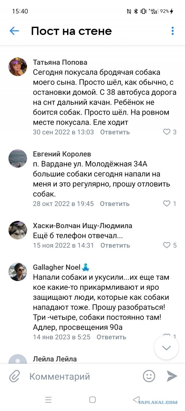 Опять бродячие псины жрут человеческих детей.