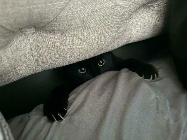 Режим "убийство" активирован