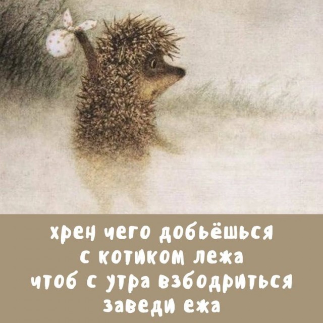 Прикольные и просо красивые картинки 05.09.2025