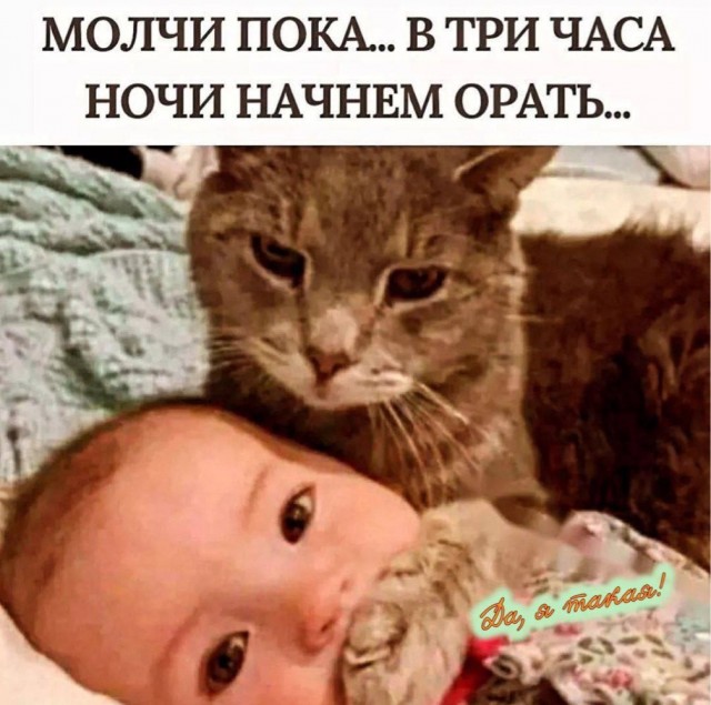 Вторник . Немного картинок
