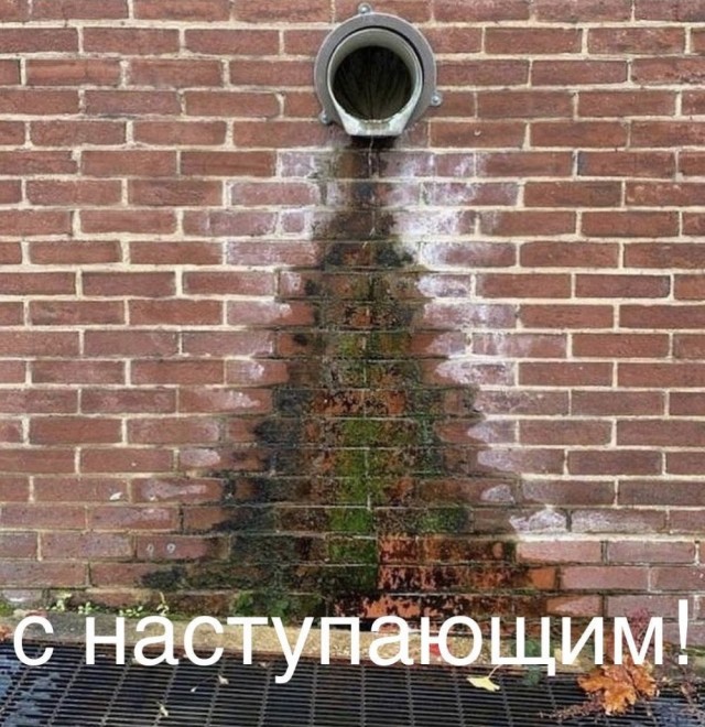 Субботние картинки