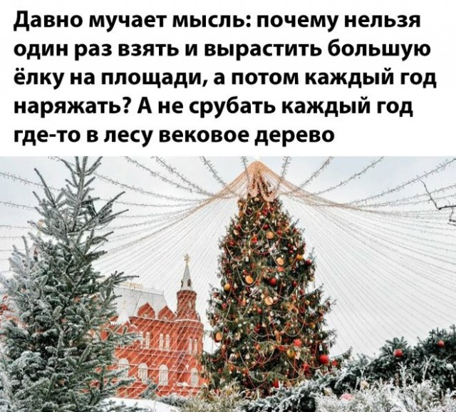 Картиночки, баянчики 04 января