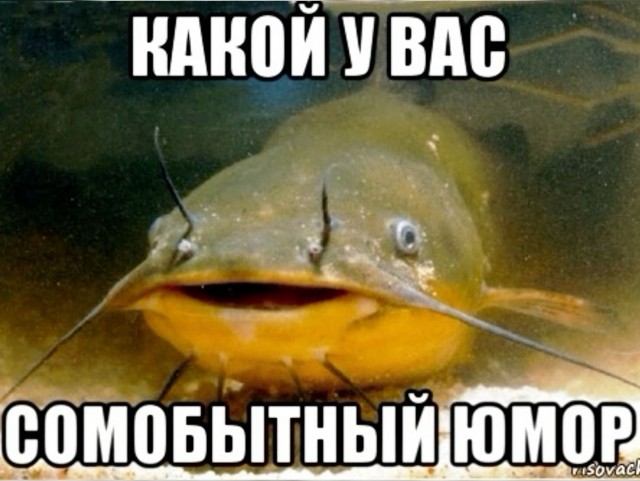 Это вам не крещенское купание