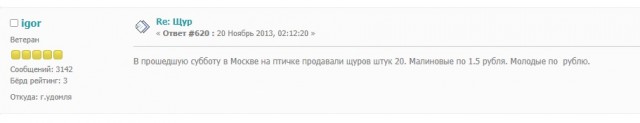 Щуры вернулись в Москву спустя сто лет.