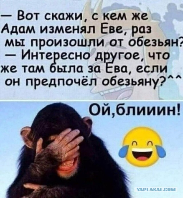 Веселые картинки в пятницу (20.03)