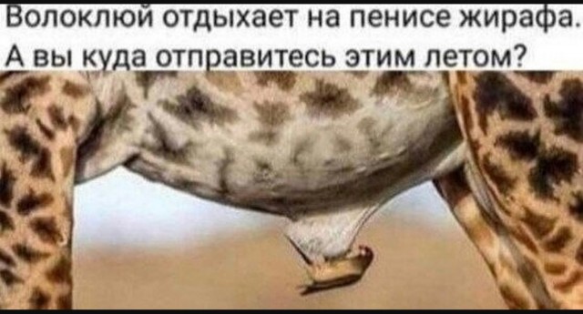 В свете последних событий