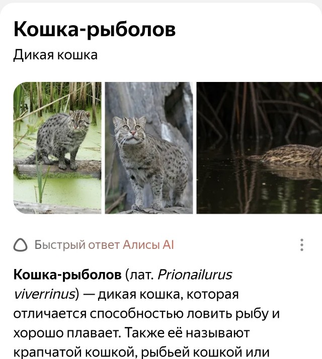 Спиздили