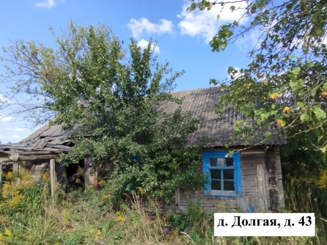 В Беларуси продают целую деревню всего за 8,8 тысячи российских рублей