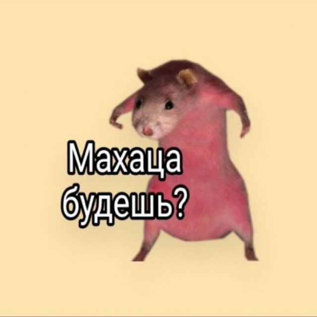 Мозг утерян безвозвратно, мы танцуем прикроватно!