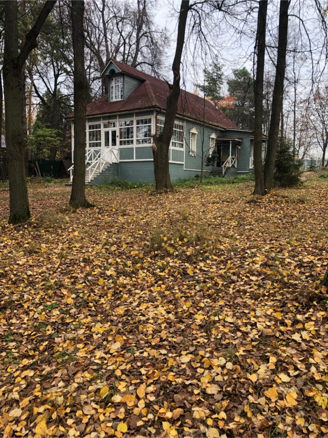 Маяковский на Акуловой горе
