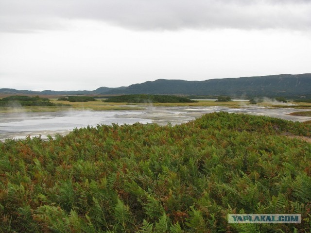 Моя Камчатка