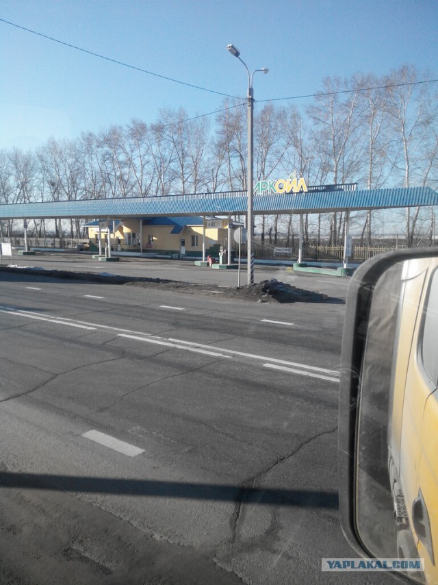 Озеленение Владивостока.