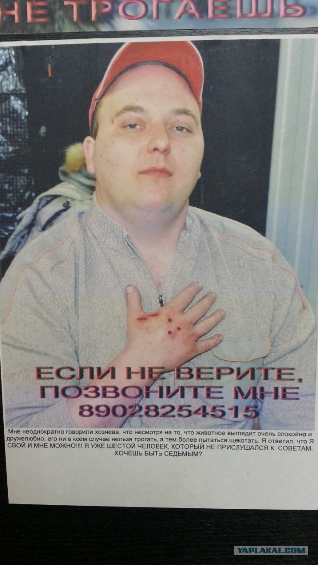 Это я-то не рукожоп? Возмутительно!