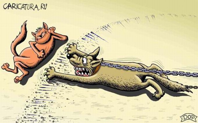 Карикатуры Лукьянченко Игоря