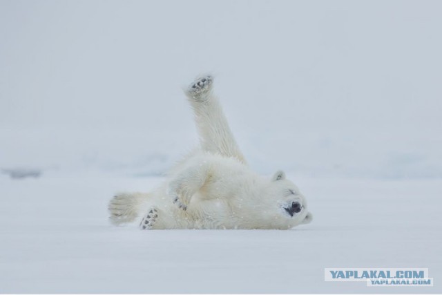 Лучшие фотографии National Geographic