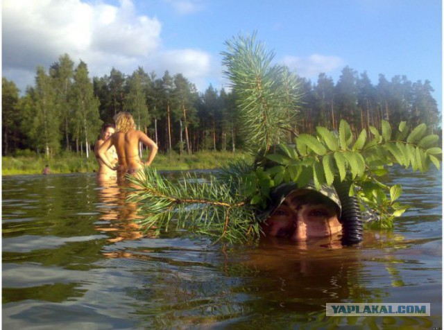 Картинки на пятницу.