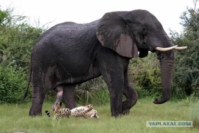 Картинки на субботу