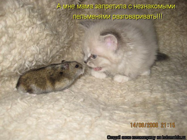 Подборка забавных картинок