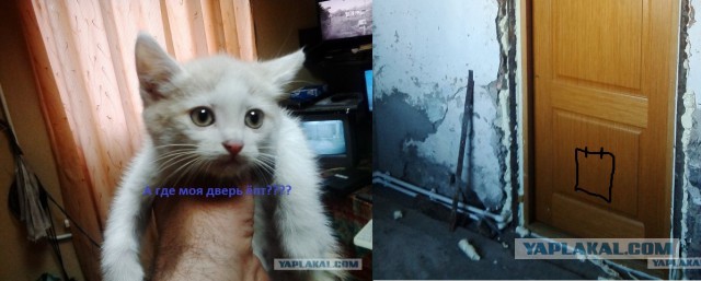 Про то, как я дверь из окна запилил