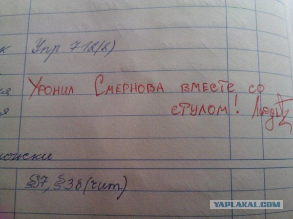 Записи в школьных дневниках