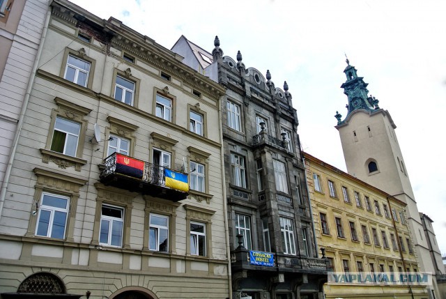 Украина, Донбасс, Крым. Я узнал правду