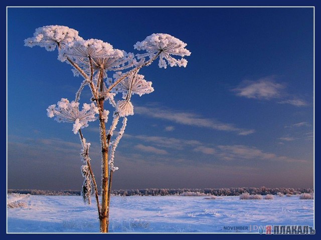 Пейзаж+adob....