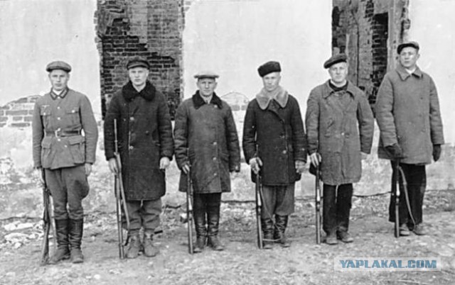 Протест дальнобойщиков в СПБ! Водители перекрыли машинами автомагистраль открытую Путиным.
