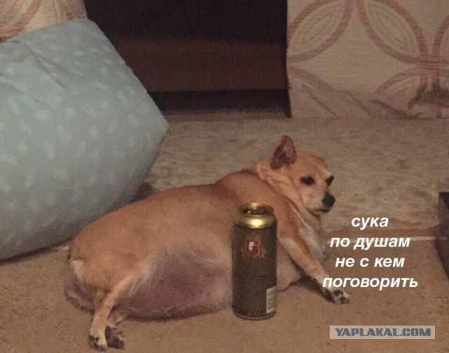 Деградируйте на здоровье