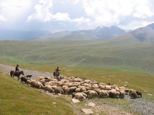 Красивые изображения