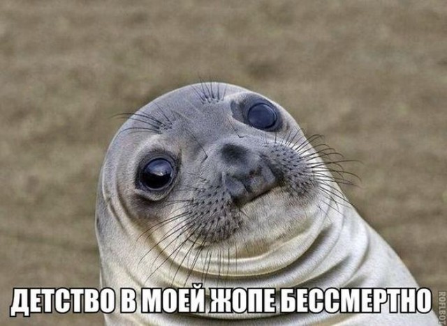 Нестандартный юмор
