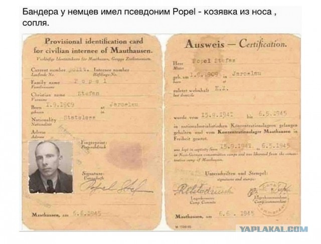 В ДНР погиб Олег "Мамай" Мамиев