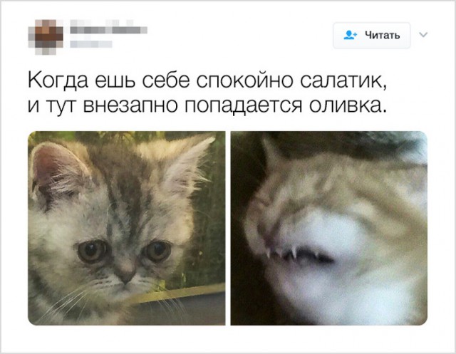 Смешные комментарии интернет-пользователей
