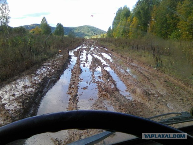 Командировка. В леса
