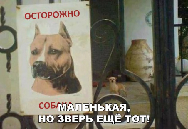 Нестандартный юмор
