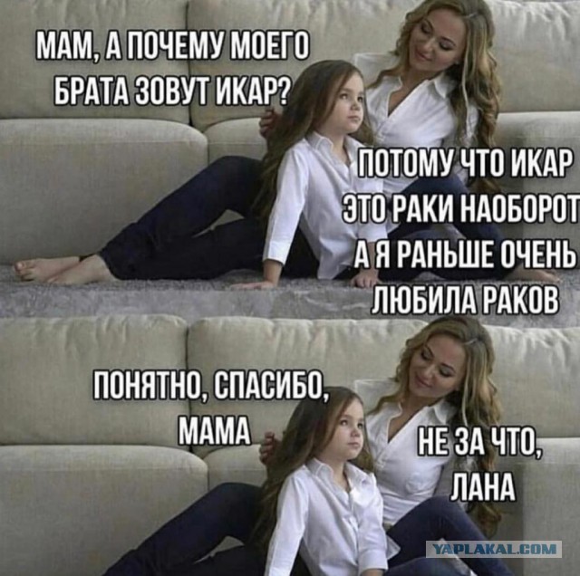 Нестандартный юмор