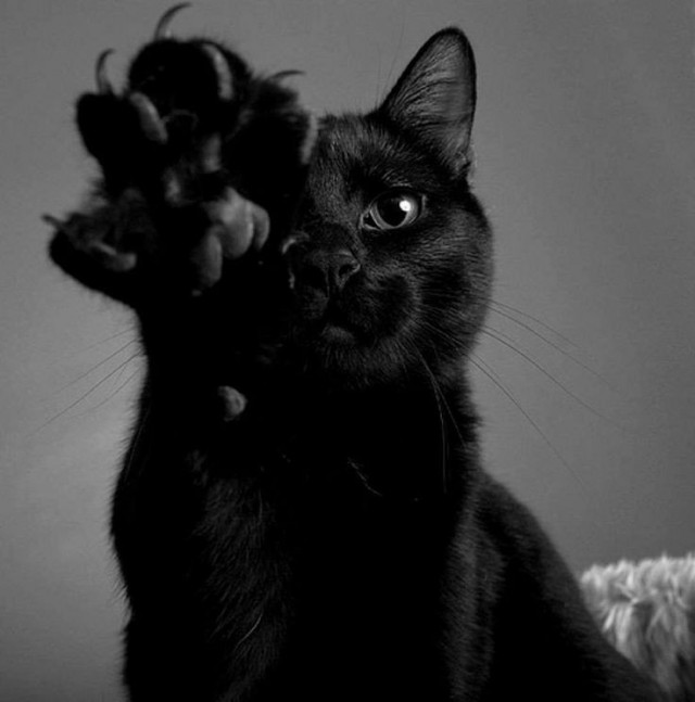 Немного милоты