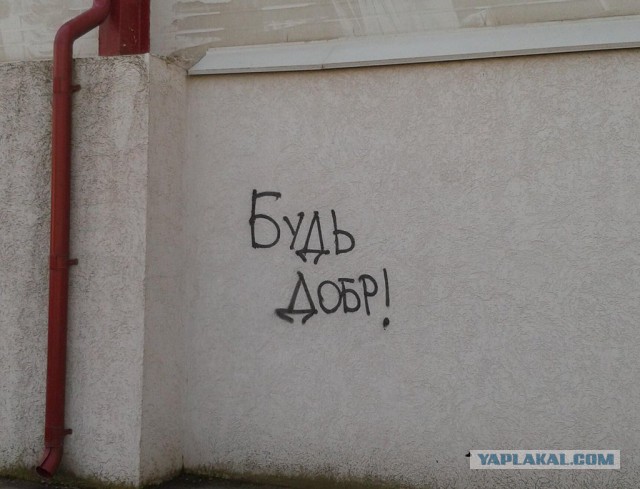 «Бродячие» философы: 17 глубокомысленных заметок в транспорте и на улицах