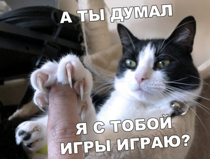 «Картинки разные нужны, картинки разные важны»