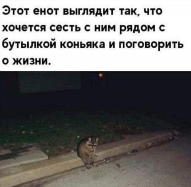 Кучка картинок №7