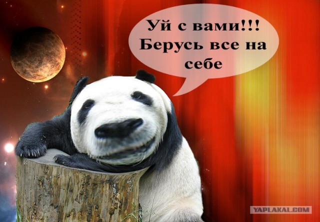 Фотожаба: Панда спалился!