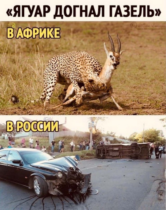 Бредзона 17.11.20