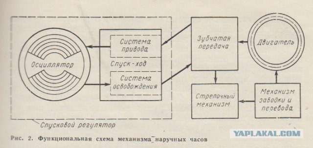 Ремонт наручных часов как хобби