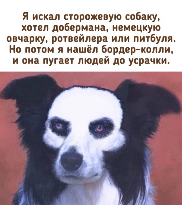 Так себе картинки 06.07.21