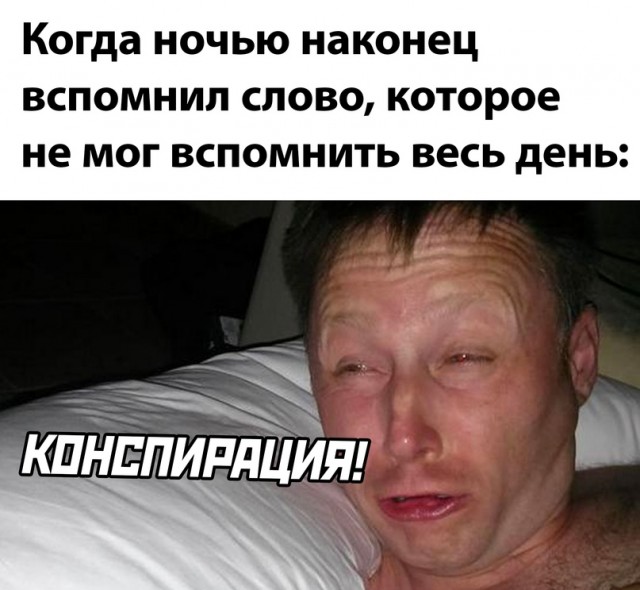 Весёлый полтишок 26.07