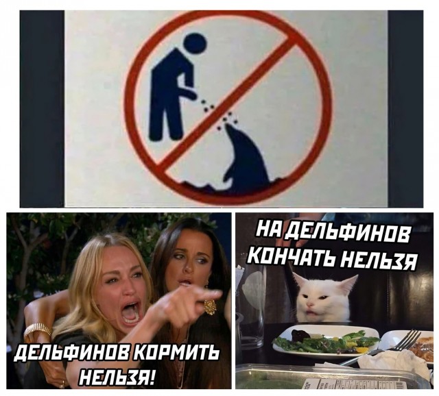 Юмор и прикольные картинки 18.10.2021