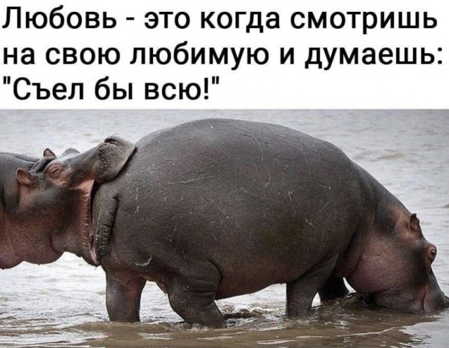 Весёлый полтишок 05.11
