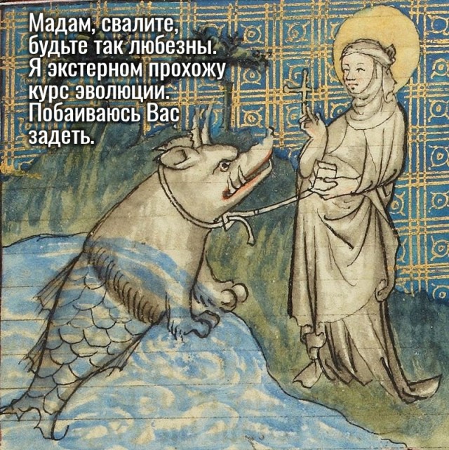 Картинки на пятницу 19.11.21