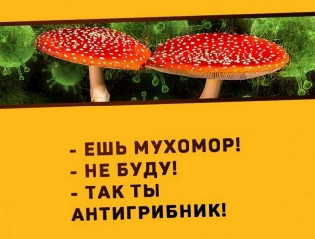Американские кардиологи установили связь между вакцинами от ковида и повышенным риском сердечно-сосудистых заболеваний
