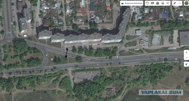 В Челябинске сотрудник ГИБДД перевел хромую собаку через дорогу