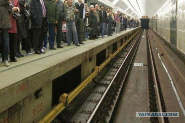 Утром на «Первомайской» в Москве  на рельсы бросился 22-летний гражданин Киргизии Нурбек Суйунбек